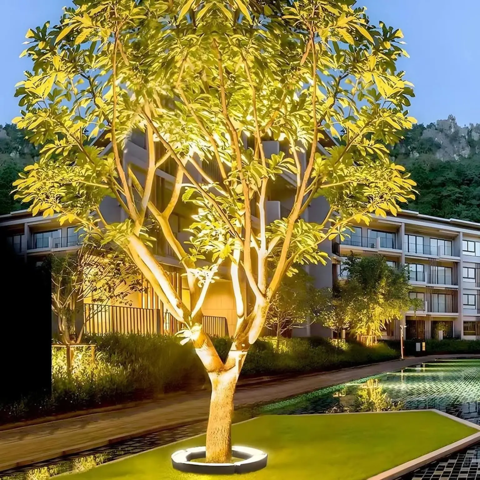 Feature tree highlighted with circular landscape lighting in Los Angeles