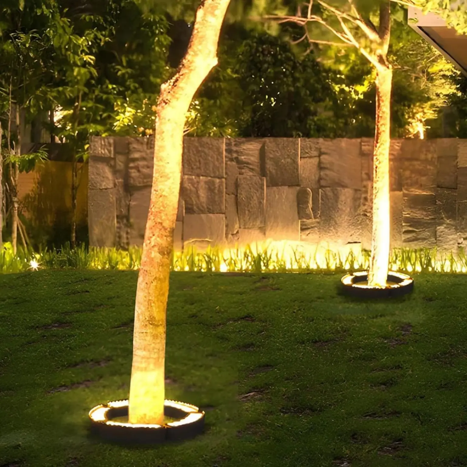 Backyard trees and wall illuminated with warm landscape lighting